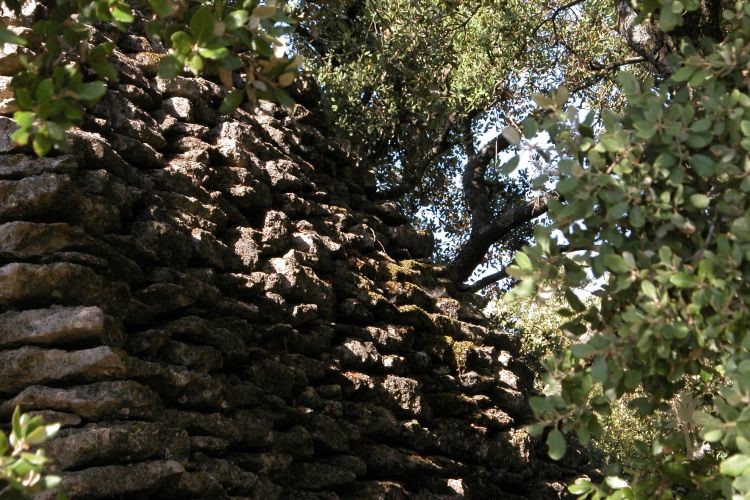 Bories et Cabanes de Provence – photo 8 sur 16