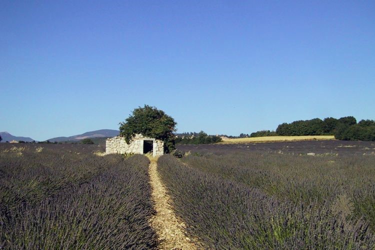 Bories et Cabanes de Provence – photo 13 sur 16
