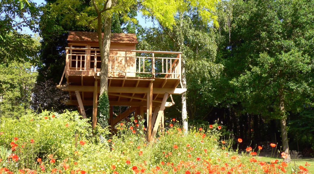 Cabane en cèdre