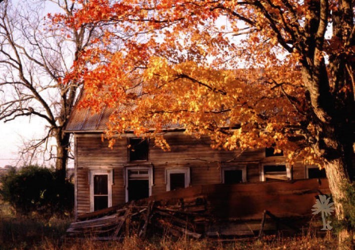 Maisons, Fermes et Granges du Texas – photo 6 sur 20