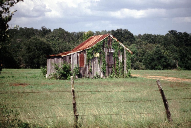 Maisons, Fermes et Granges du Texas – photo 7 sur 20