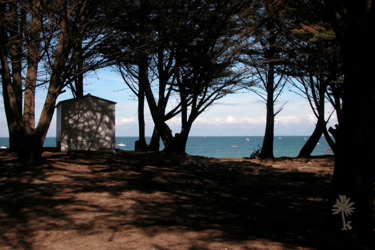 Cabanes de l’île d’Yeu – photo 12 sur 20