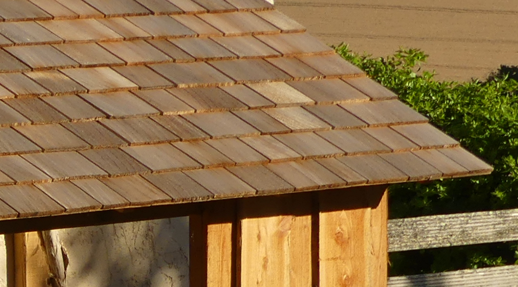 L’abri à bois – photo 3