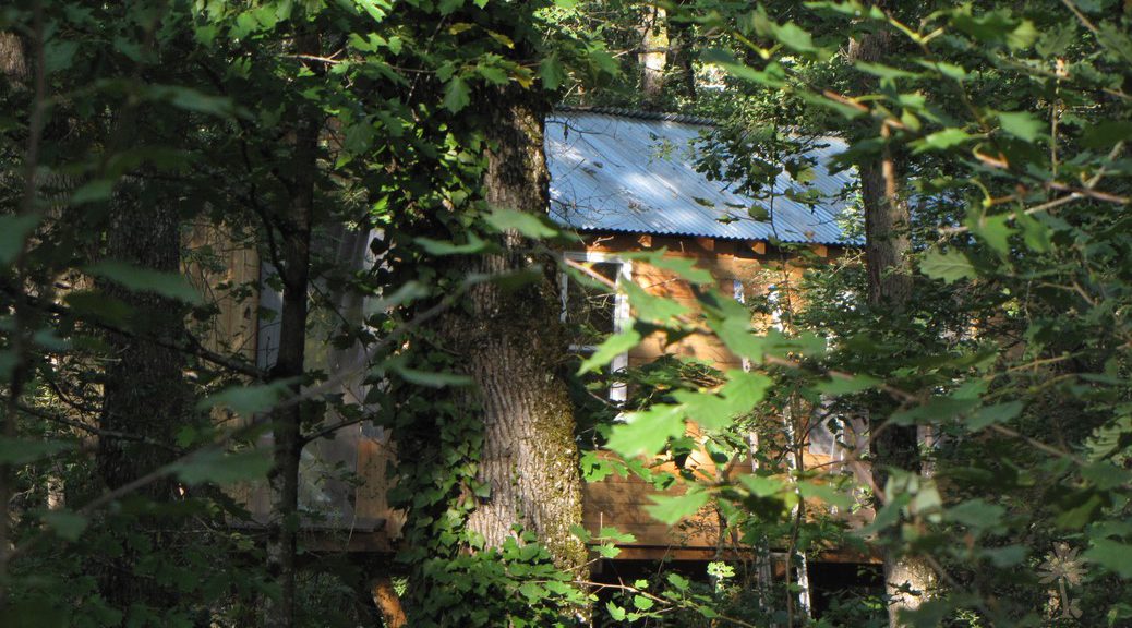La Cabane dans le Bois – photo 3