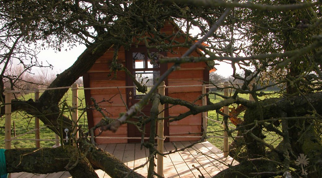 La Cabane dans le Pommier – photo 4