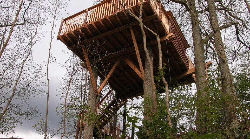 La Cabane de Chevetogne – photo 2