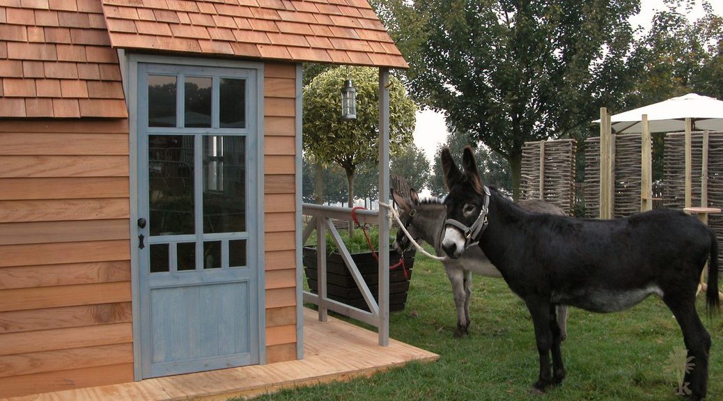 La Cabane Pointue – photo 5