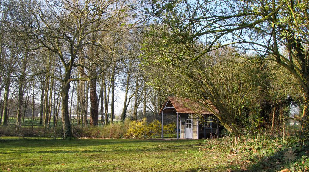 L’Abri en Vieux Bois – photo 2